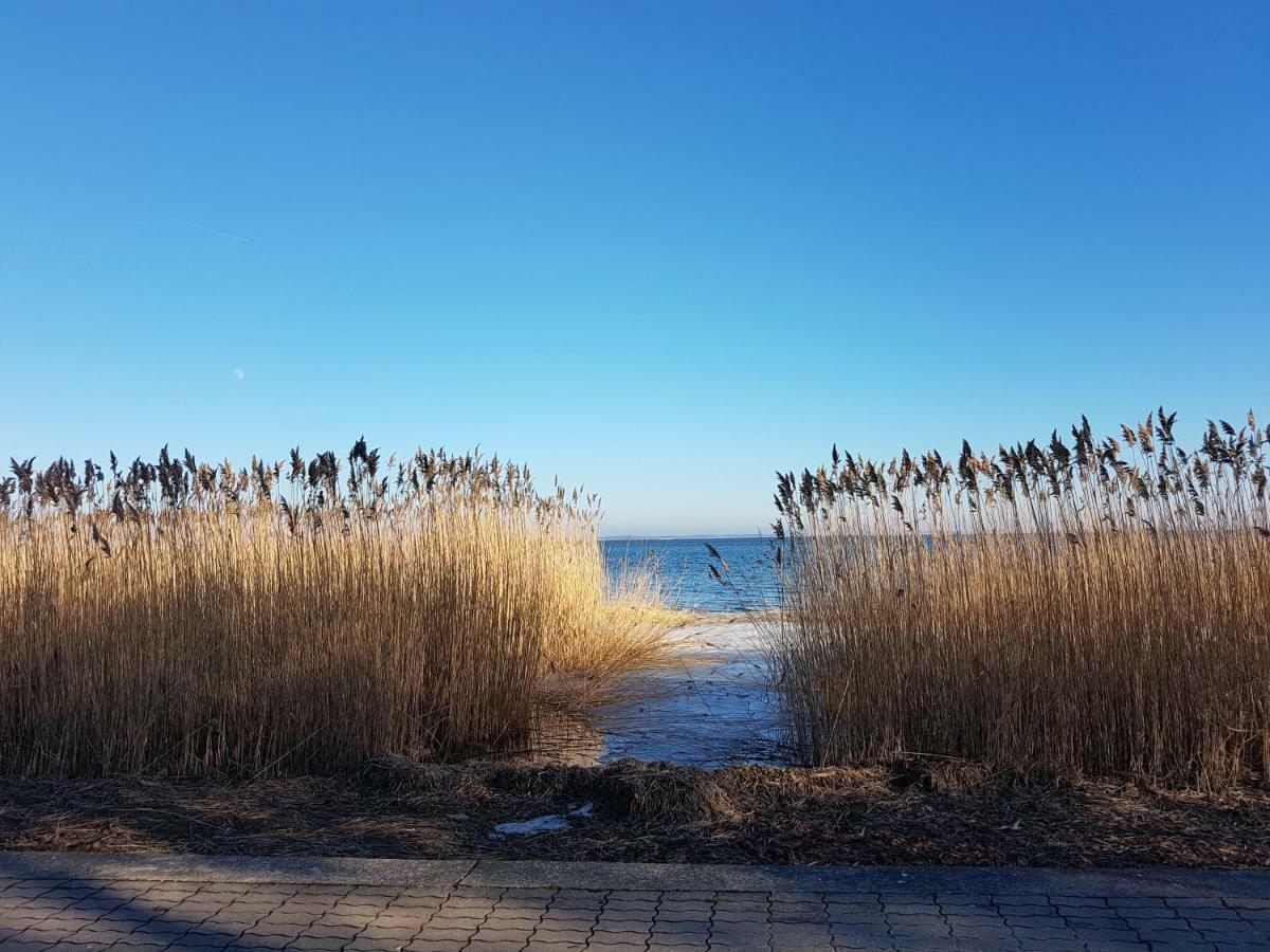 Smelte - Holiday Apartment In Juodkrantė מראה חיצוני תמונה